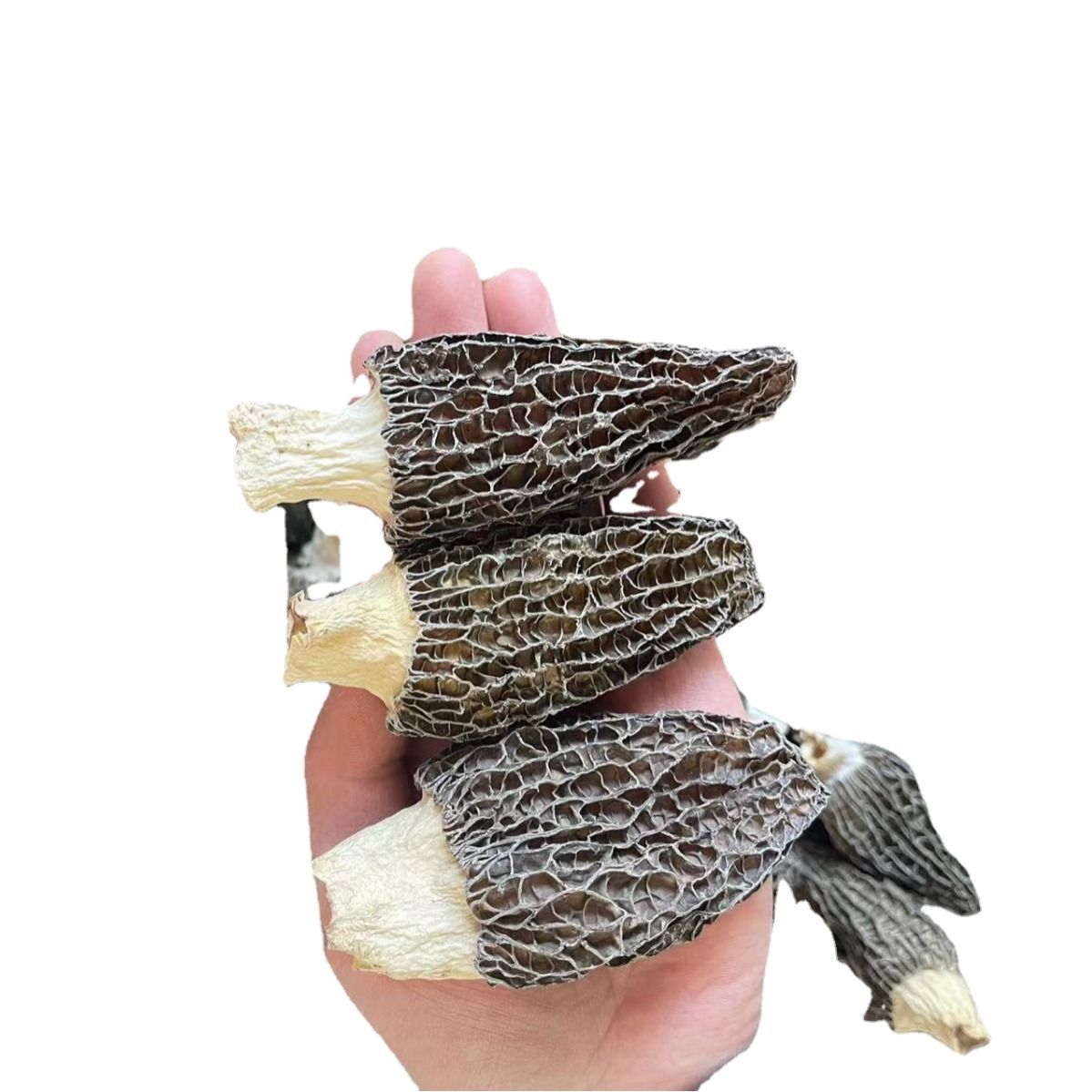 Morchella dry goods Yunnan morchella bulk edible first stubble field raw morchella dry goods wholesale