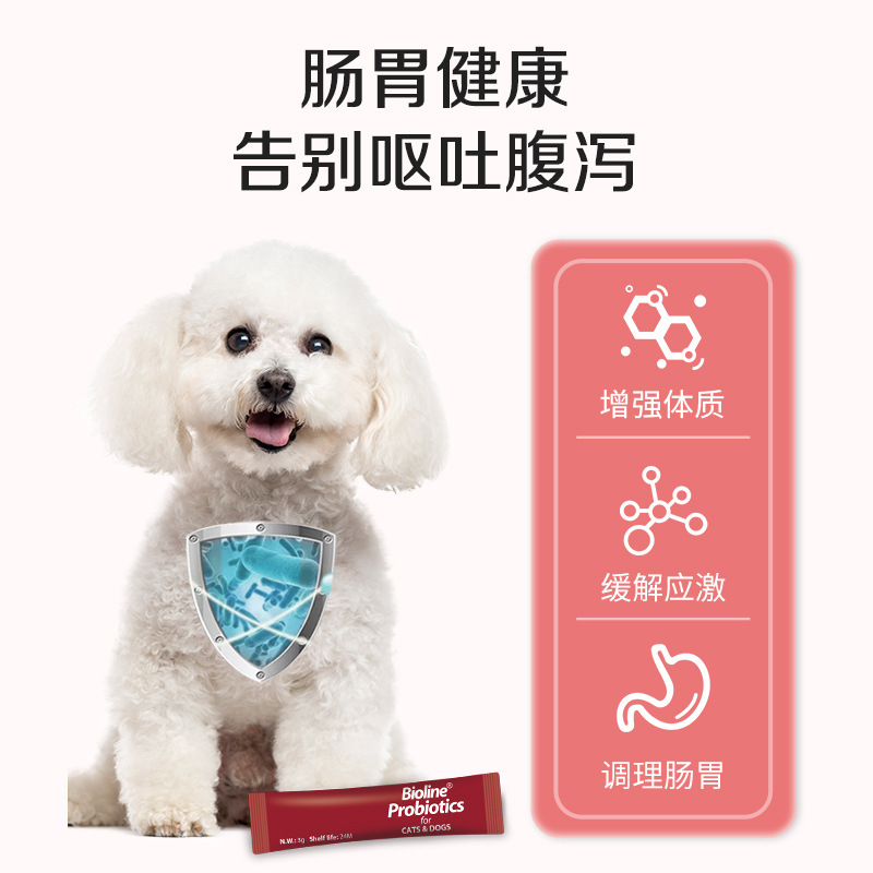 Bioline Pet Probiotics Wholesale, General Probiotic Gastrointestinal Nutritional Supplement for Cats and Dogs, Cross-Border Direct Supply