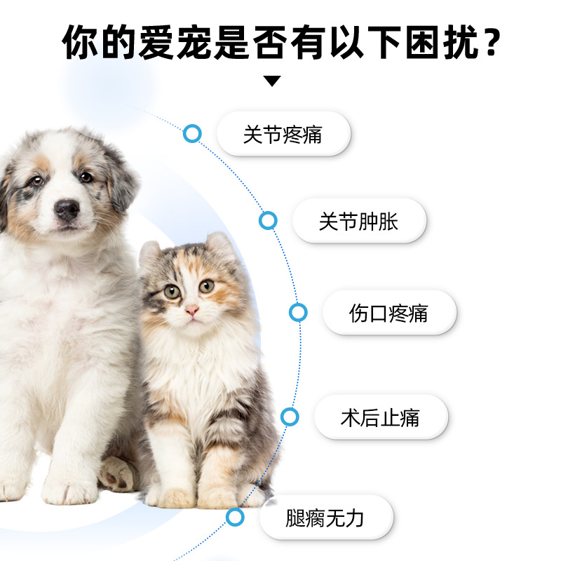 New Favorite Kangmeiloxicam Pet Cats and Dogs Joint Anti-Inflammatory Pain Relief Tablets Leg Lame Fracture Pain Medicine Fenmeiluo