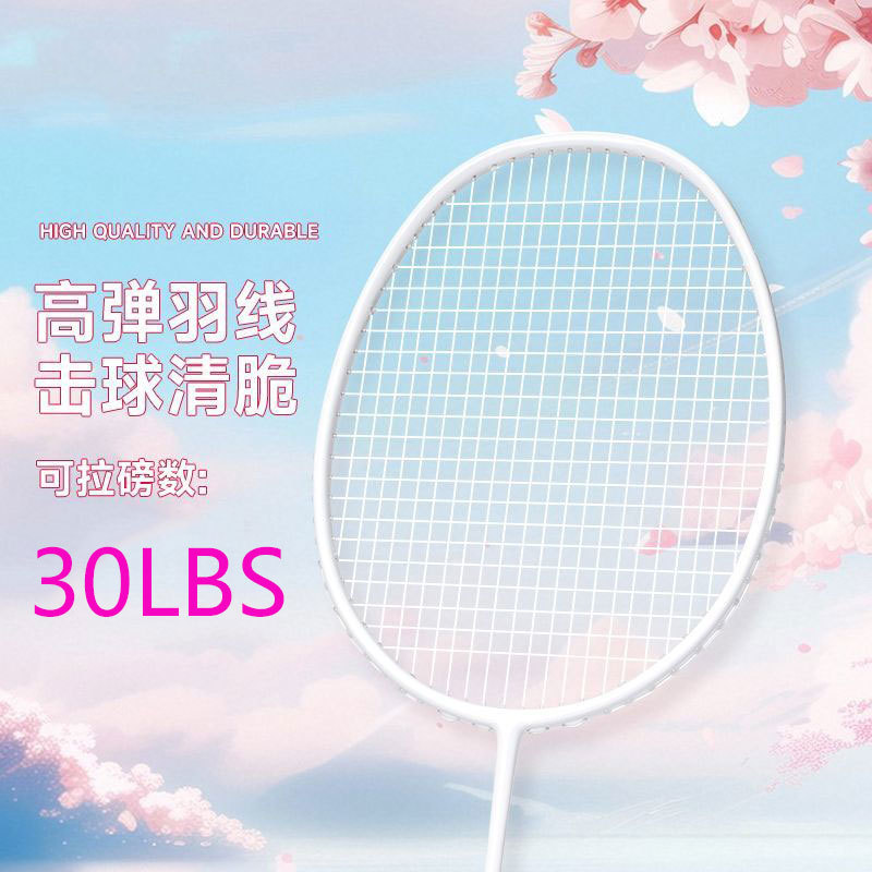 Factory Wholesale Ultra-Light 5U Badminton Racket Full Carbon Fiber Resistant Amateur Primary Male and Female Student Training Single Racket