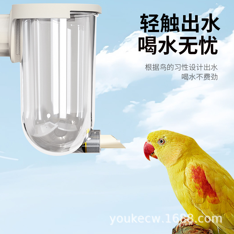 Parrot Water Dispenser for Cockatiels with Flat Lid, Automatic Water Bottle for Mynas, Small Sun, and Lovebirds