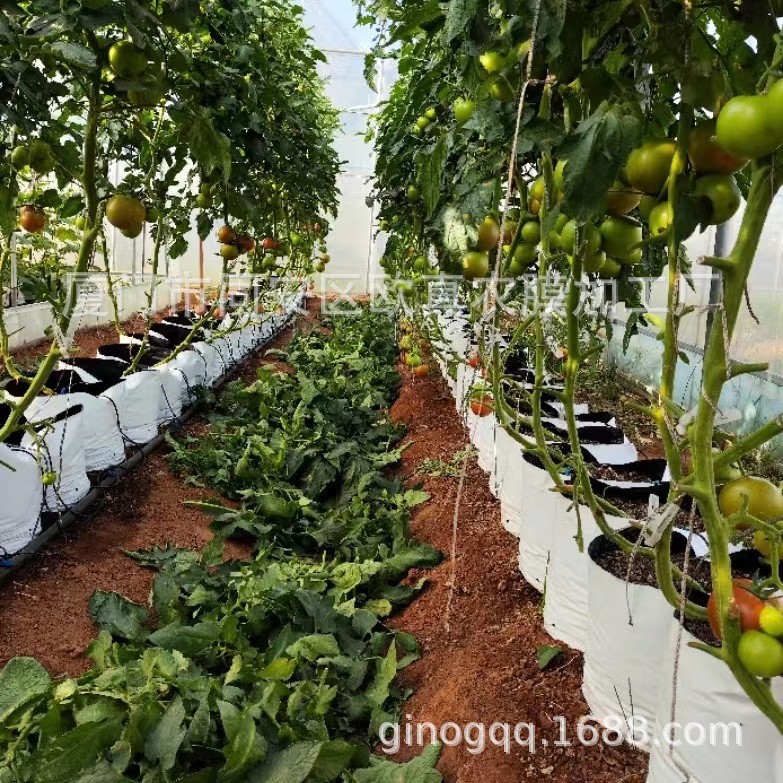 Оптовые черно-белые мешки для посадки, мешки для посадки томатов, мешки для культивации субстрата, прямая продажа без почвы от производителя