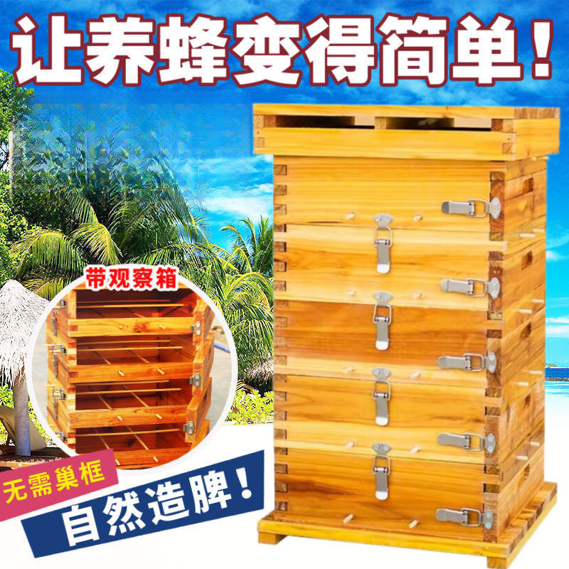 Пятислойный улей из утолщенного кедрового дерева для плавления воска, инструменты для пчеловодства
