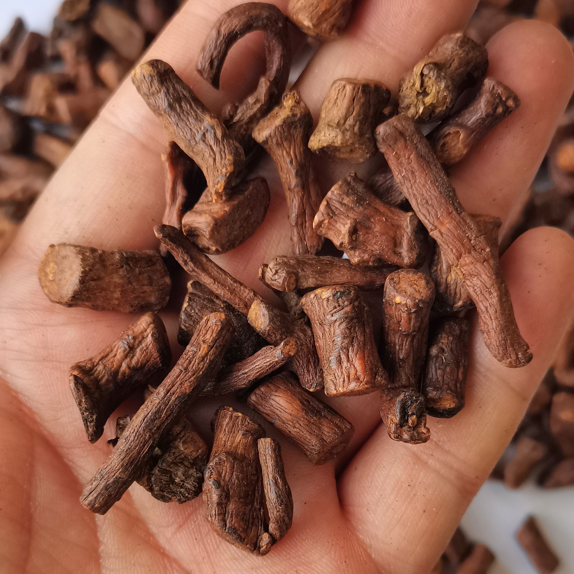 Dandelion root tea new wholesale Changbai mountain mother-in-law tea dandelion root tea fragrant bubble-resistant