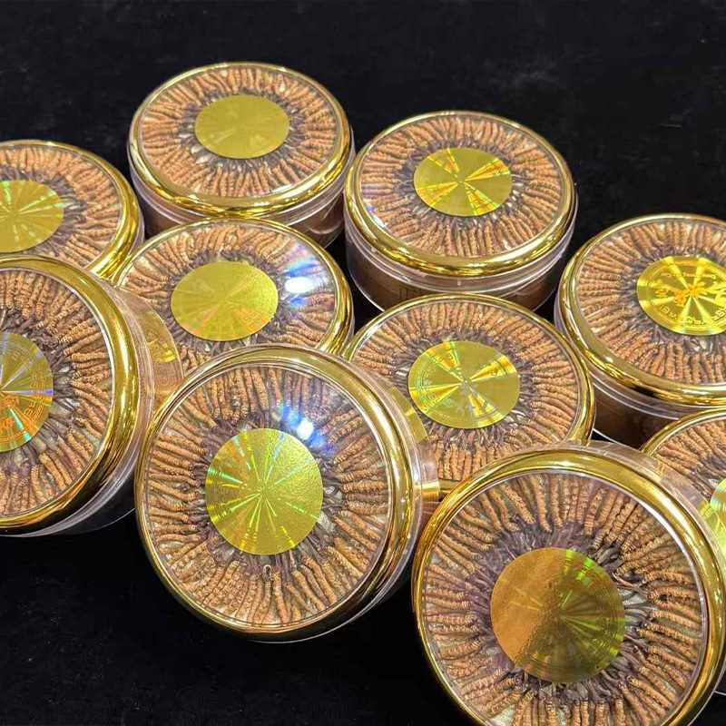 2025 Naturally Sun-Dried Cordyceps Sinensis Qinghai Xizang Nagqu High-Altitude Cordyceps Nourishing Dry Goods Wholesale from the Place of Origin