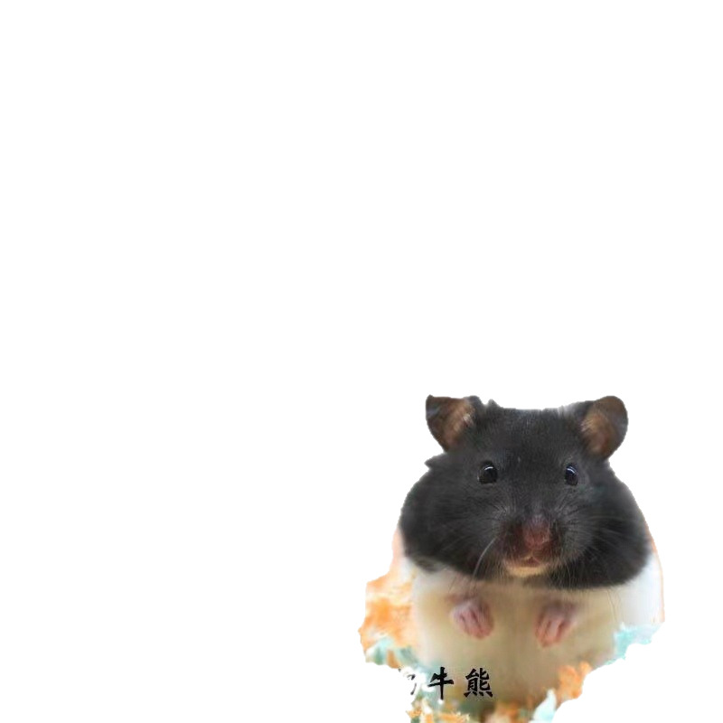 Short-Haired Bear Wholesale Long-Haired Bear Wholesale Cow Tiger Pattern Golden Bear Cinnamon Clove Black Bear Refined Rice Bear Eyeliner Mask