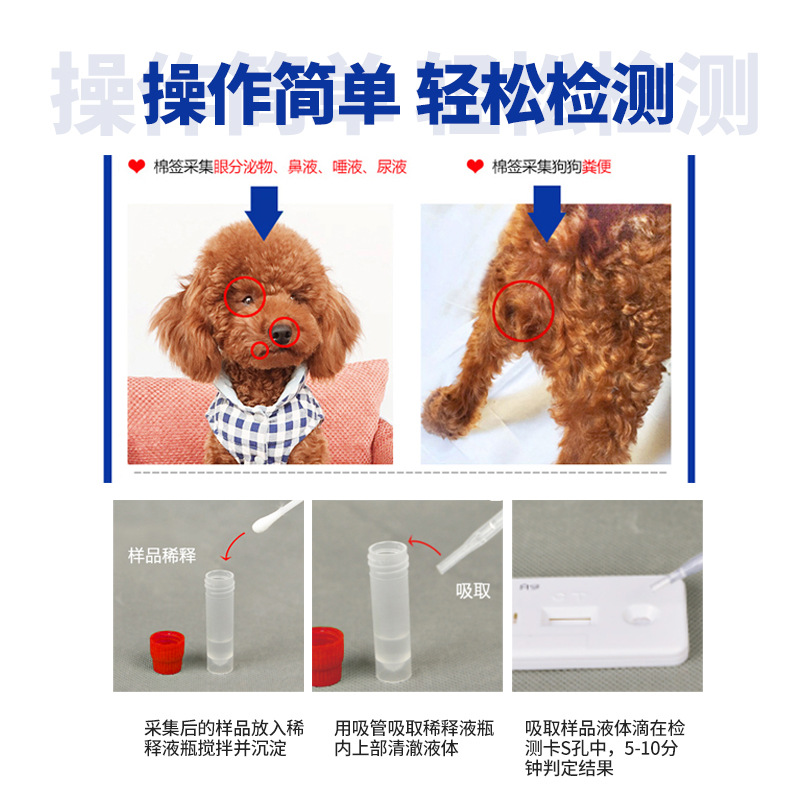 Pute Bio Canine Distemper Feline Distemper Calicivirus Test Paper Test Board Pet Dog Cat Disease Infection