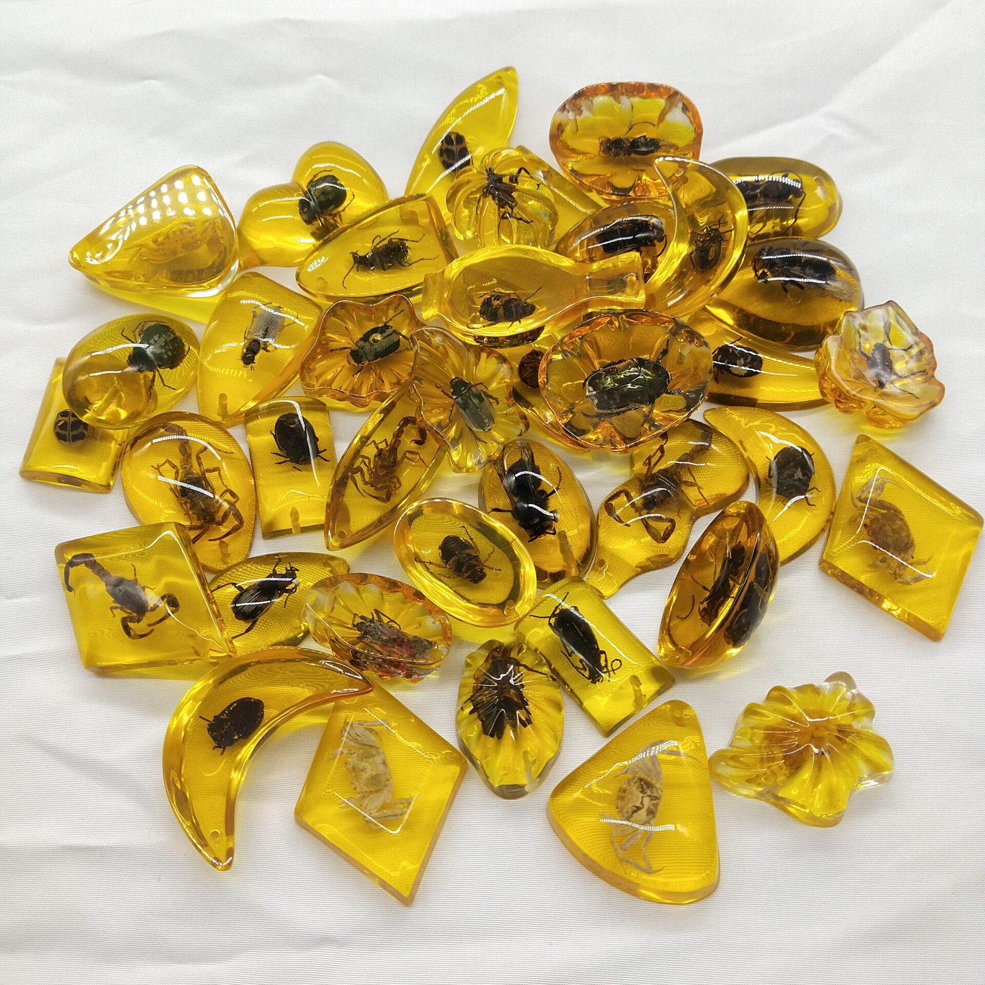 small size True Specimen Insect Amber Accessories Children's Digging Ancient Toys Blind Box Accessories Supply Factory in stock