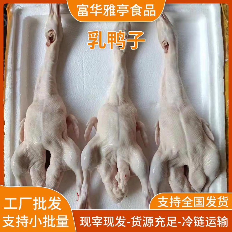 Freshly Slaughtered Duck, Braised Duck, Roasted Duck, Restaurant, Roasted Duck Farm, Free-Range Duck, Catering Supply Wholesale