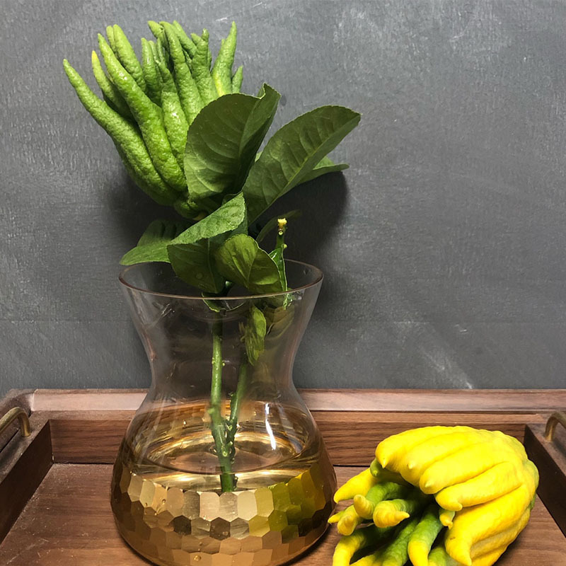 [Гидропонные маленькие фрукты с веточками] Орнаментальный ароматный фрукт Будды, свежий фрукт Будды Цзиньхуа, свежесрезанные веточки для вставки в вазу