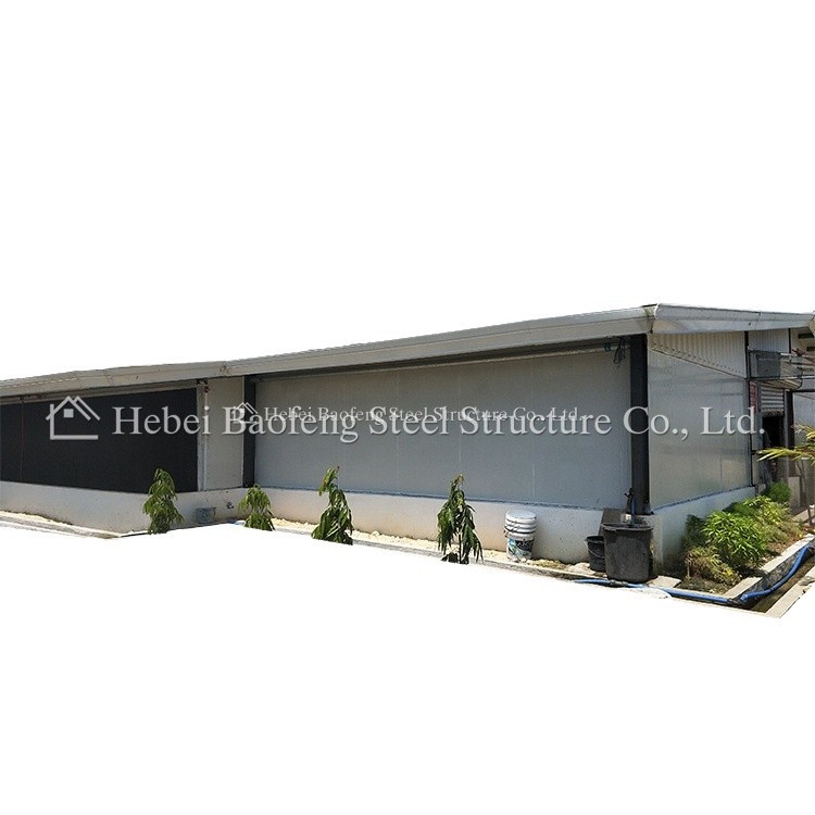 Steel Structure Chicken House Export Production Stable Frame Good Insulation Effect Fully Automatic Steel Structure Chicken House Farm
