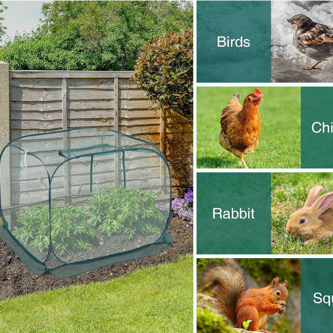 Plant Cover Anti-Mosquito, Anti-Insect, Anti-Dust, Anti-Animal Vegetable and Flower Cultivation Basket. Storage Flower Cover Protective Flower Cover