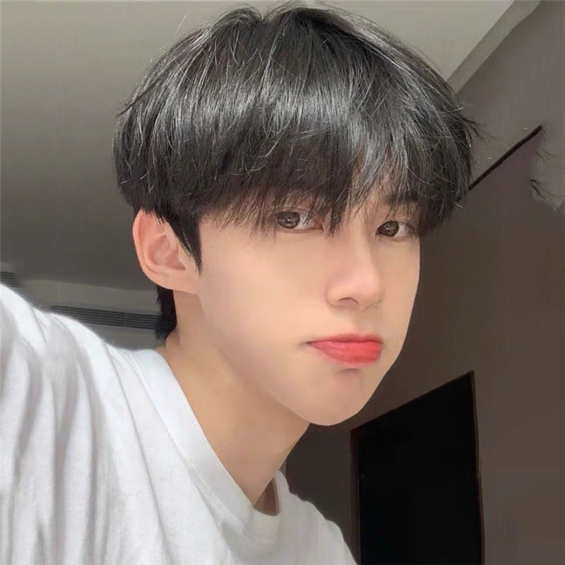Wig men's short hair Korean handsome men's short straight hair neat bangs student fluffy daily full head cover factory wholesale