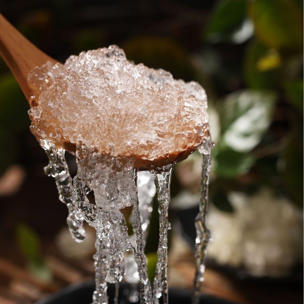 Direct Supply from the Source: Plant-Based Bird's Nest, Brushed Snow Bird's Nest, Commercial Raw Materials Can Be Paired with Peach Gum, Snow Bird's Nest, and Saponin Rice