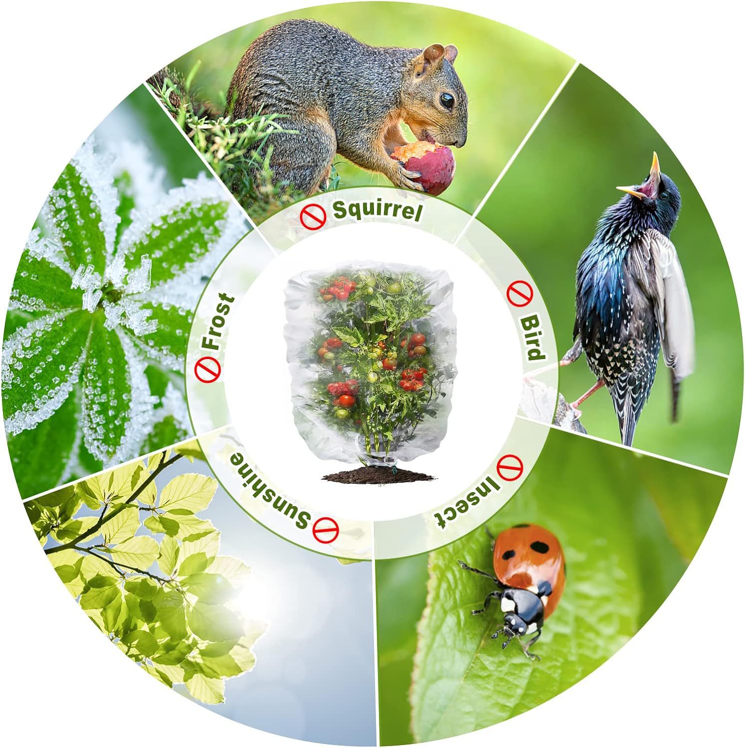 Cross-border gardening landscape tree insect-proof net bag drawstring beehive insect-proof bag flower and fruit insect-proof net bird-proof net cover in stock