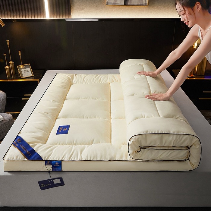 Five-Star Mattress Cushion Five-Star Hotel Feather Silk Thickened Tatami Mat Home Student Dormitory Cushion Quilt