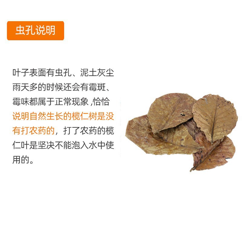 Natural Elemene Leaf Lazy Leaf Aquarium Supplies Fighting Fish Tropical Fish Dragon Fish Turtle Shrimp Tank Acid Reduction Aquarium pH Value