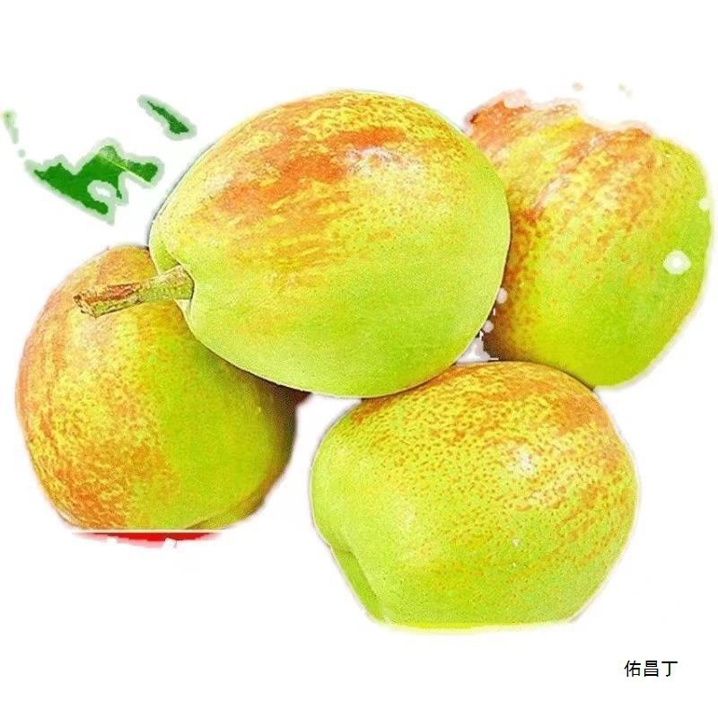 Xinjiang Korla Fragrant Pears Fresh Fruit Pears 3/5/ 5kg Thin Crispy Pears Seasonal Red Crispy Whole Box Batch