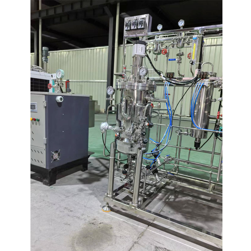 Ruisheng Machinery Sells Laboratory Fermentation Tanks 30L Stainless Steel Small Seed Tanks Fully Automatic Fermentation Tanks