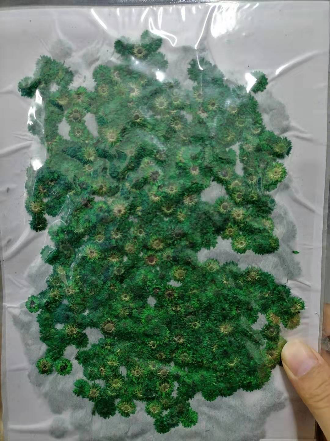 Small Fragrant Green Baffle Aromatherapy Candle Nail Art Dried Flowers Real Flowers Face Beauty Makeup Embossing diy Baffle Painting Greeting Card Flower Material