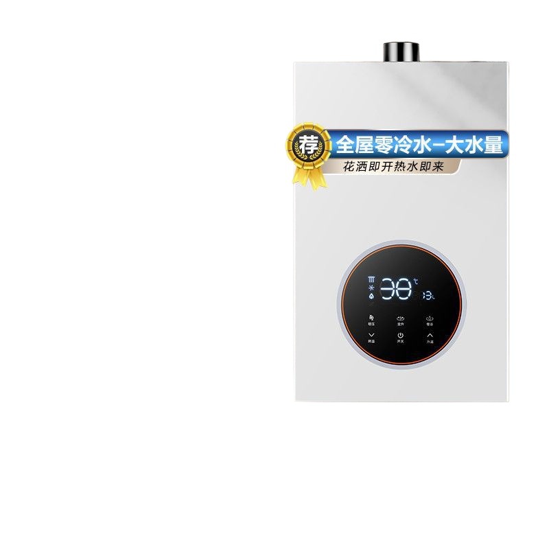 Gas Water Heater Variable Frequency Constant Temperature Supercharged Anti-Freeze Zero Cold Water Forced Exhaust Balanced Household Amazon