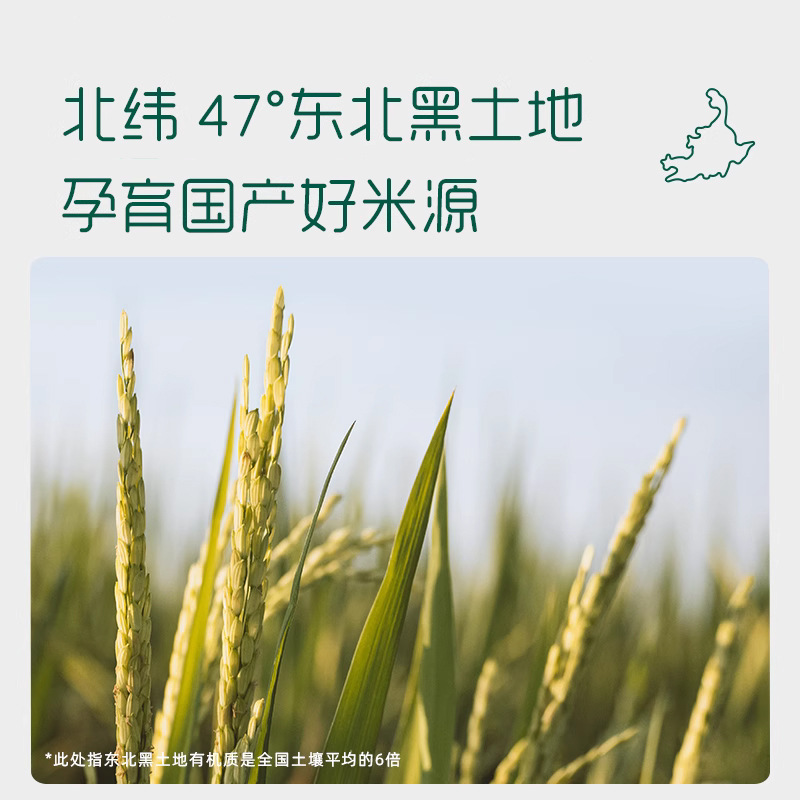 Ying's Boxed Rice Cereal 180G/Box (9 Small Bags) Infant High Iron 6-Month-Old Baby Nutritional Rice Cereal Calcium Iron Zinc