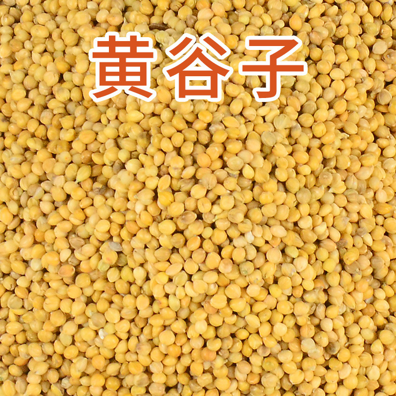 Factory Wholesale Yellow Millet Shelled Millet Tiger Skin Peony Cockatiel Bird Food Bird Food Feed Food 400ml