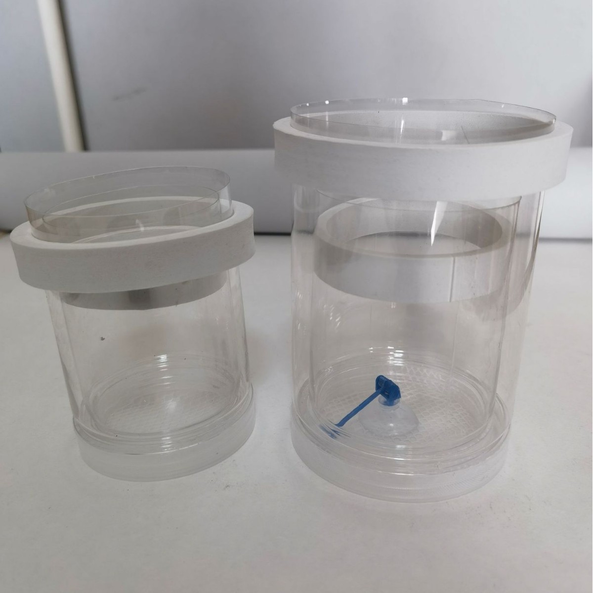 Main Floating Breeding Isolation Box Guppy Breeding Box Fish Tank Small Fish Fry Isolation Box Juvenile Fish Hatching Box