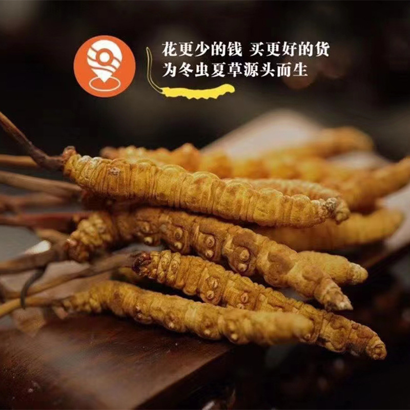 Cordyceps sinensis Cordyceps sinensis whole grass freeze-dried Cordyceps sinensis broken grass broken Cordyceps sinensis wholesale a large number of hands and feet dry New goods