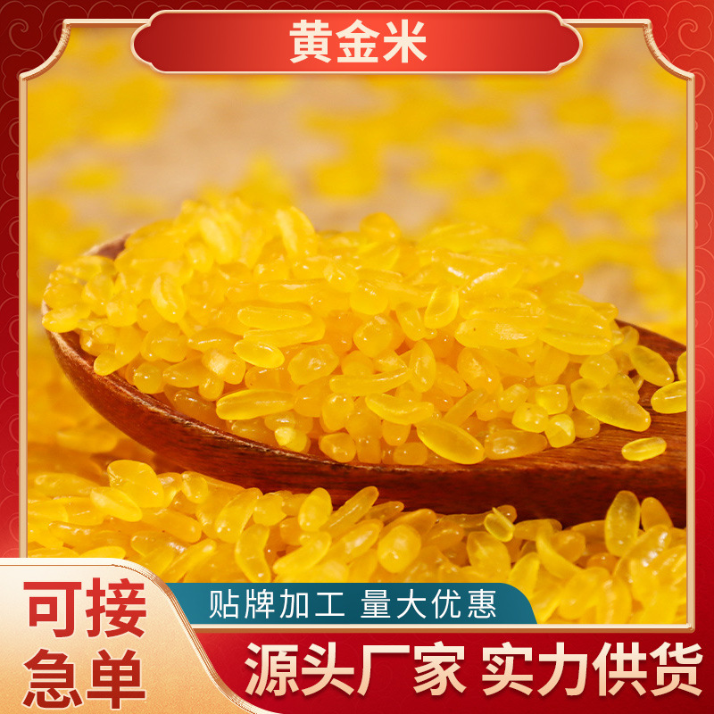 Новый золотой рис Хэйлунцзян золотой рис риса северо-восточной кукурузы зерно крупы кукурузы