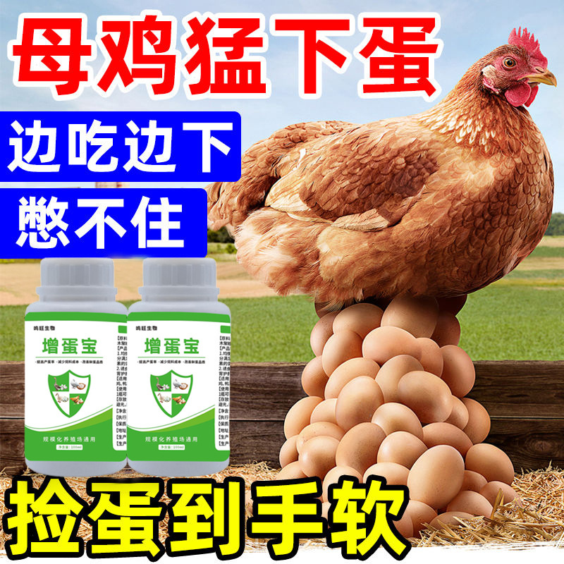 Предпочтительный корм для птицы, добавка для увеличения яиц кур, уток, гусей и перепелов