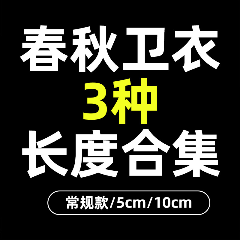 Свитшот весна-осень удлинённая версия коллекции 3 длины