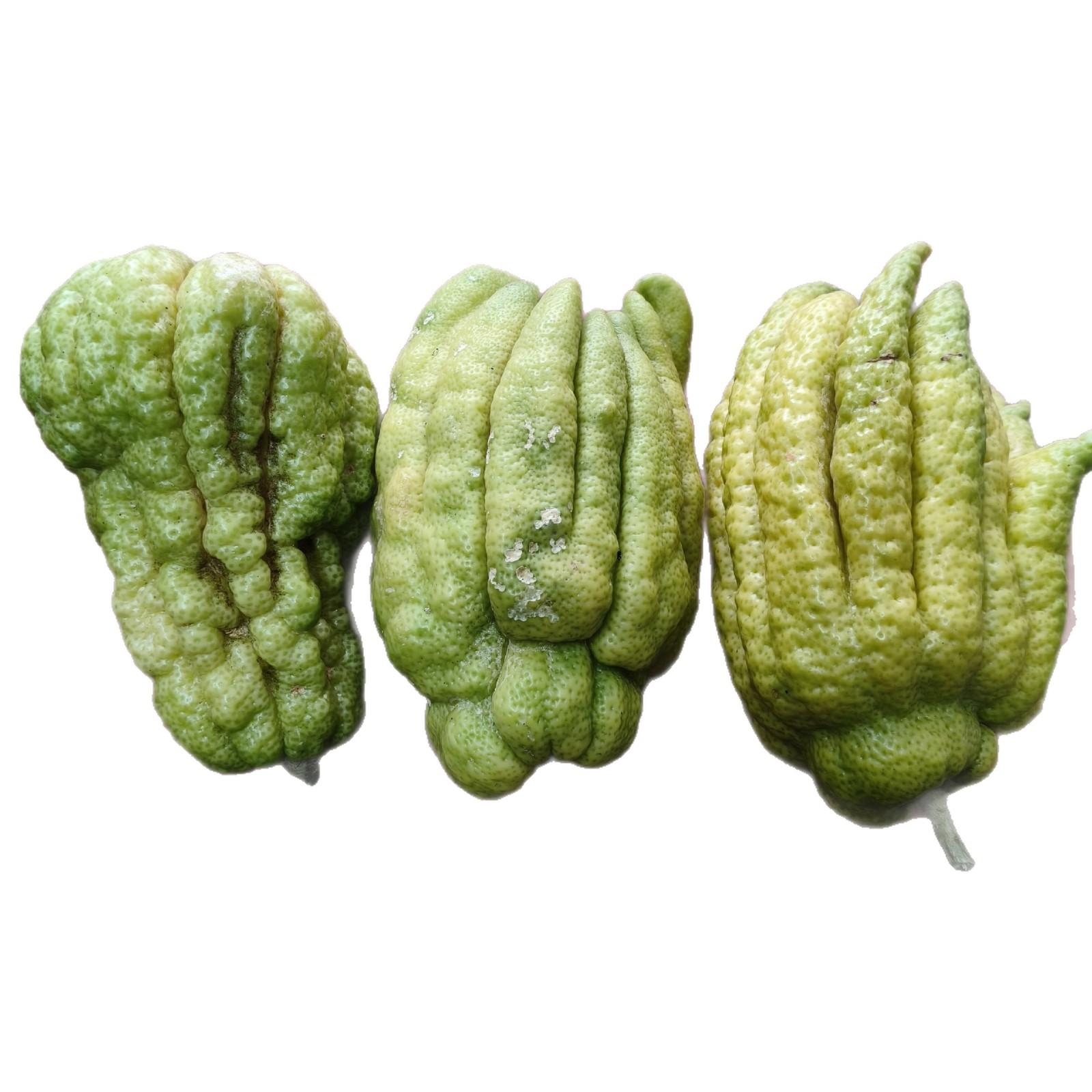 Fresh Bergamot Edible Fruit! There Are Defective Secondary Flower-Skinned Fruits, Which Are Cost-Effective to Eat! Please Be Careful When Photographing!
