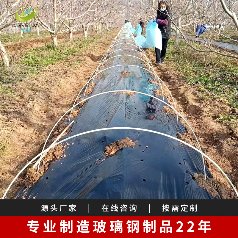 Factory Direct Sales Large and Small Arch Shed Pole Bracket Greenhouse Flower Shed Vegetable Greenhouse Fiberglass Pole Stick Greenhouse Frame