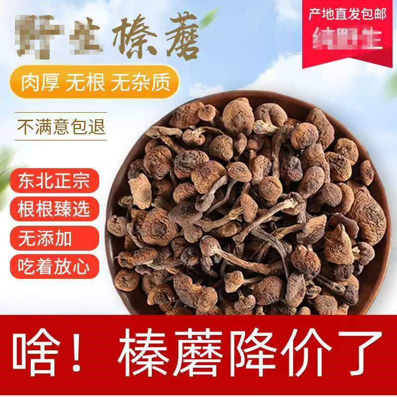 Hazel Mushroom Northeast Specialty Wholesale Dry Hazel Mushroom Chicken Stewed Mushroom Ingredients Gift Agricultural Products Hazel Mushroom Ding Native Specialty