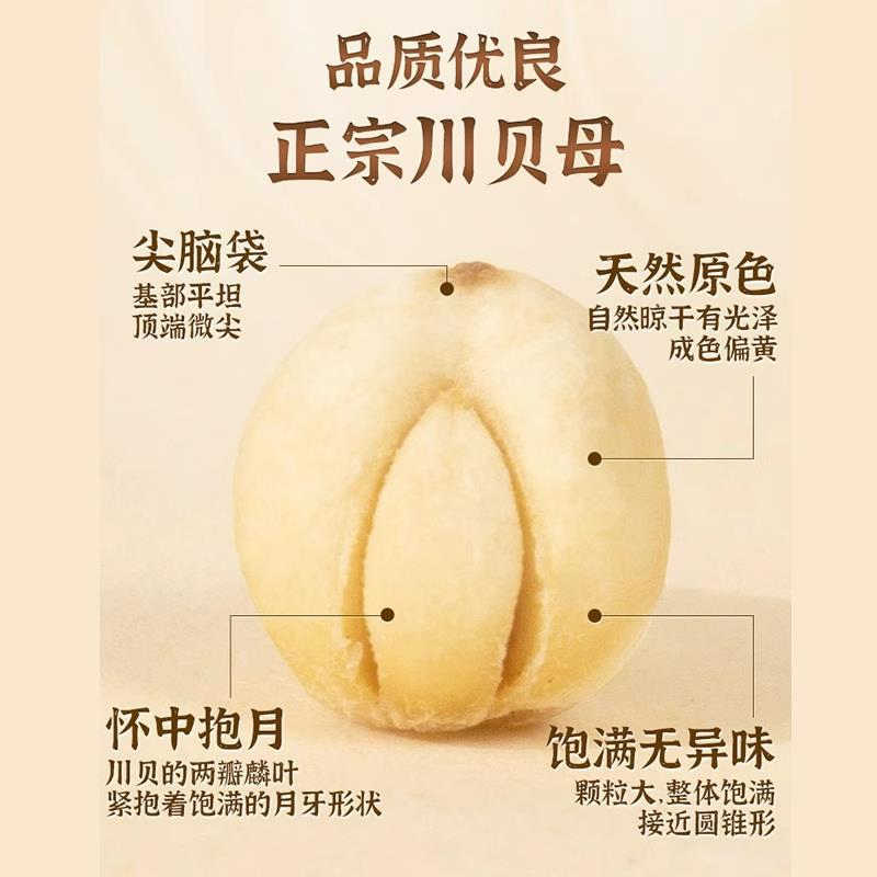 Sichuan Original Color Sichuan Fritillaria 50g Authentic Sichuan Fritillaria Powder Genuine Special Grade Chinese Herbal Medicine Official Flagship Store Wild Goods