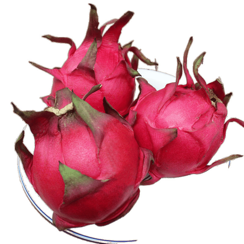 Authentic Hainan Jindu No. 1 Red Dragon Fruit Super Sweet Seasonal Fresh Fruit Whole Box Wholesale Price 3/5/ 5kg