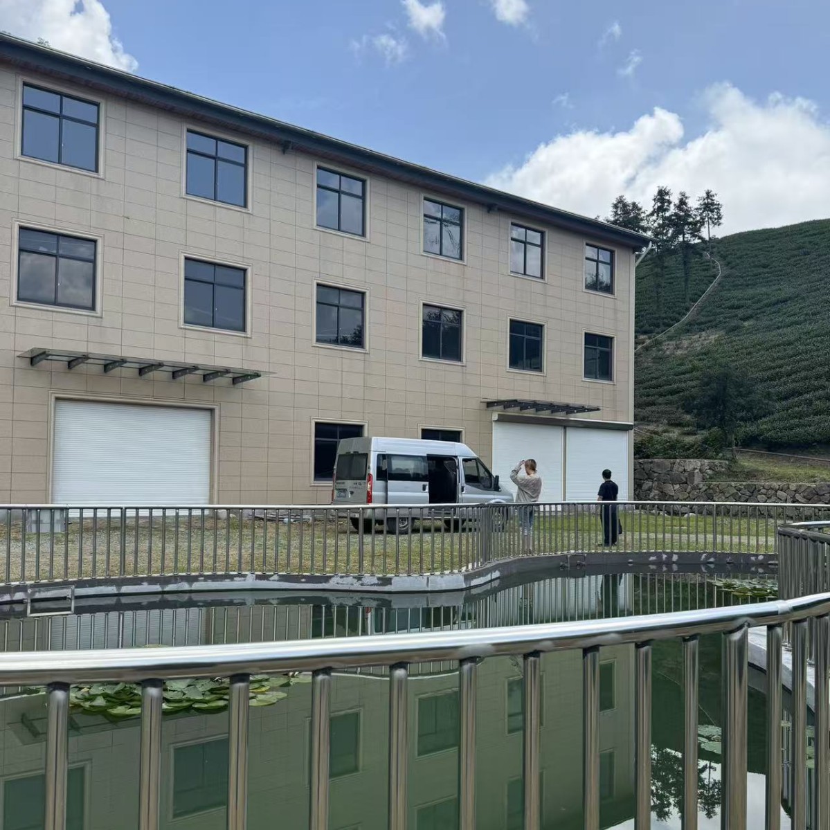 Yifeng Premium Anji Golden Bud 2025 New Tea White 250g Tea Green Tea Loose Tea Original Origin Wholesale