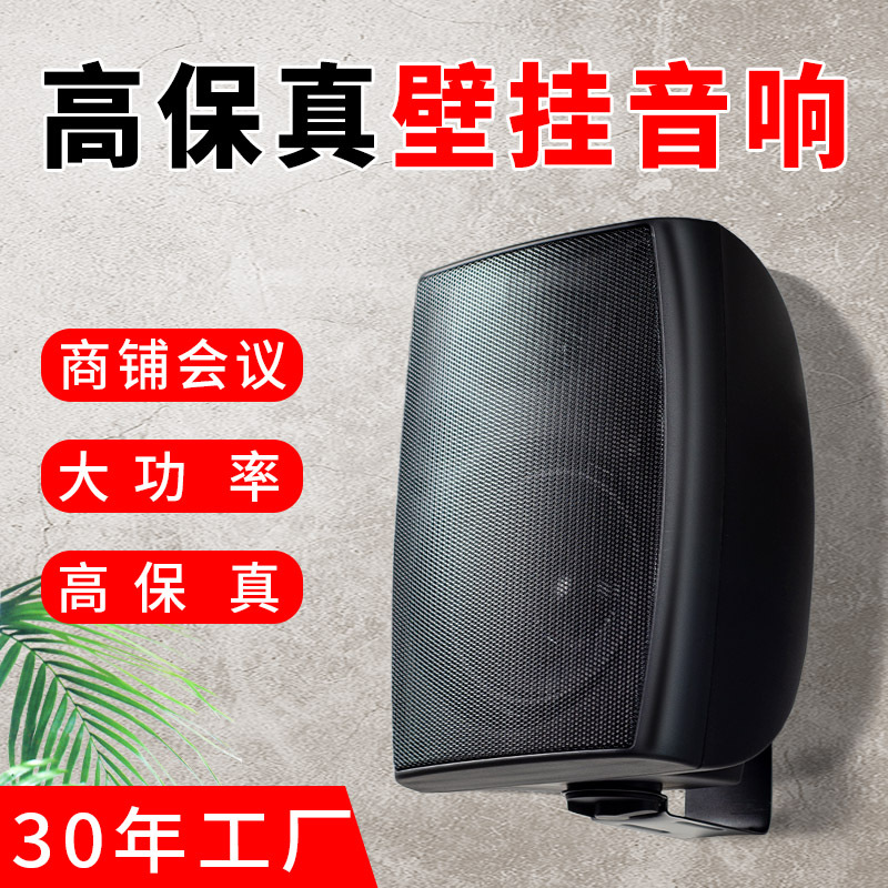 Производитель настенных аудиоколонок общественного радио блютуз колонка постоянного давления для магазинов и конференций