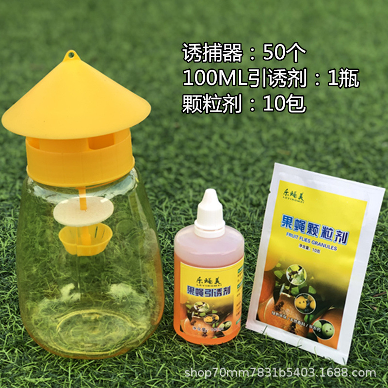 Fruit fly trap needle device melon fruit fly big fruit fly orange fruit fly citrus fruit melon orchard bee trap factory wholesale
