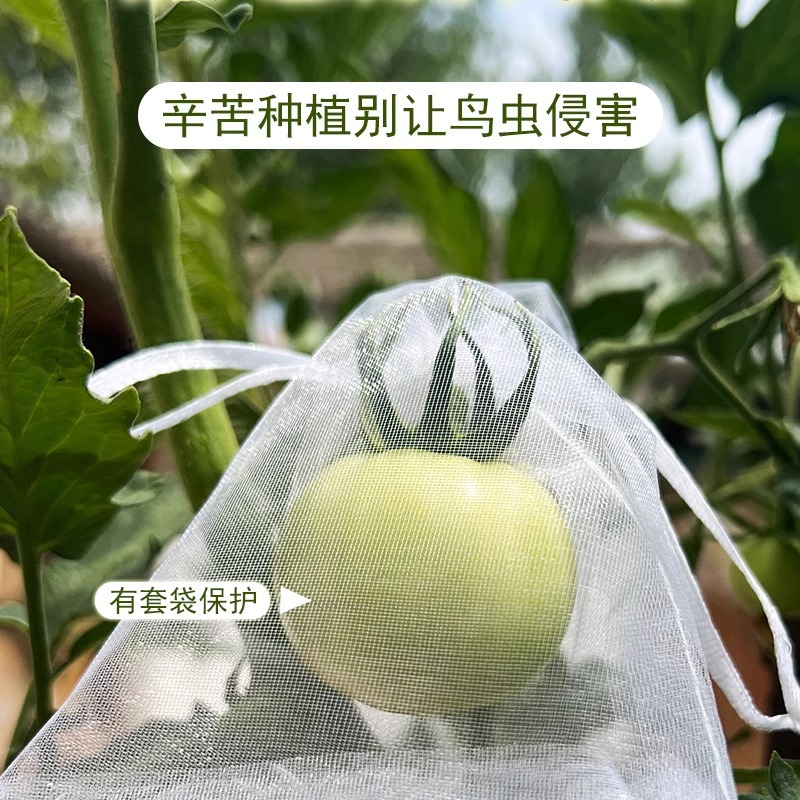 Fruit and Vegetable Insect-proof Bag Bird-proof Net Fruit Blueberry Tomato Insect-proof Bag Light Transmission Grape Pitaya Bagging Net Protective Bag