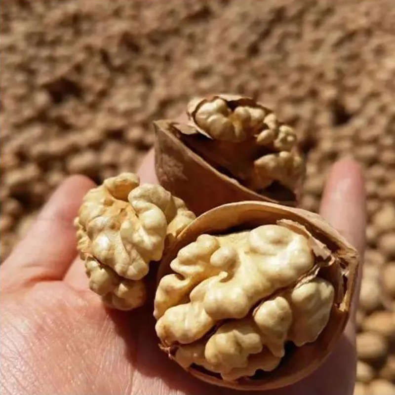 Новый продукт этого года такой же тонкий, как бумага, грецкий орех, доступный оптом, сырой вкус, Aksu 185, ядро, белое, для беременных женщин, взрослый