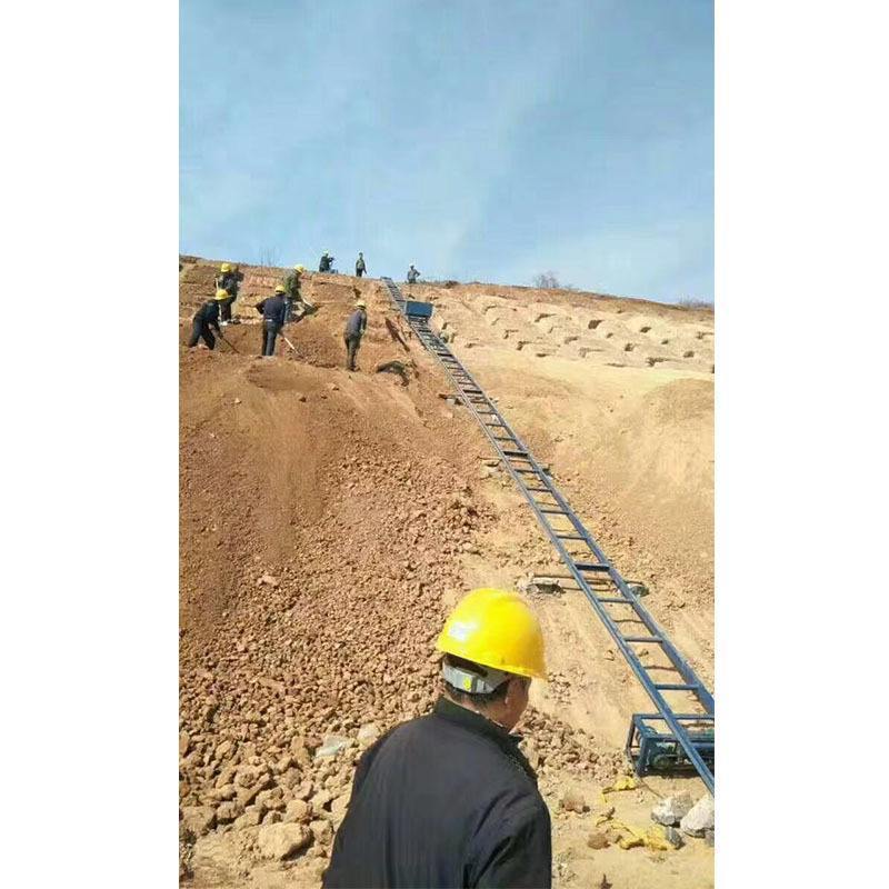 Vine Loading Machine, Building Construction Hoist, Slope Loading Machine, Track Hoist, Longlongli Lifting Machinery