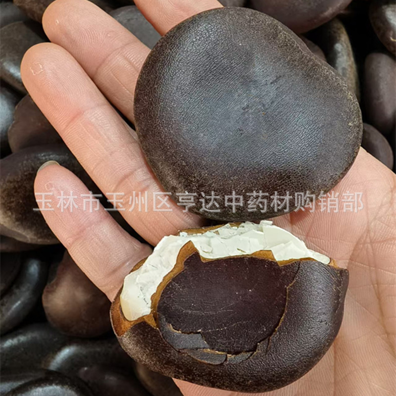Large Wholesale Yin Yangzi Guojianglongzi Bodhizi Wood Waist Soaked in Wine Flat Type