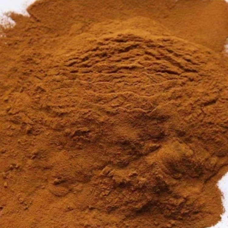 Sodium Lignosulfonate, a Polymer Dispersant and Surfactant for Cement and Concrete