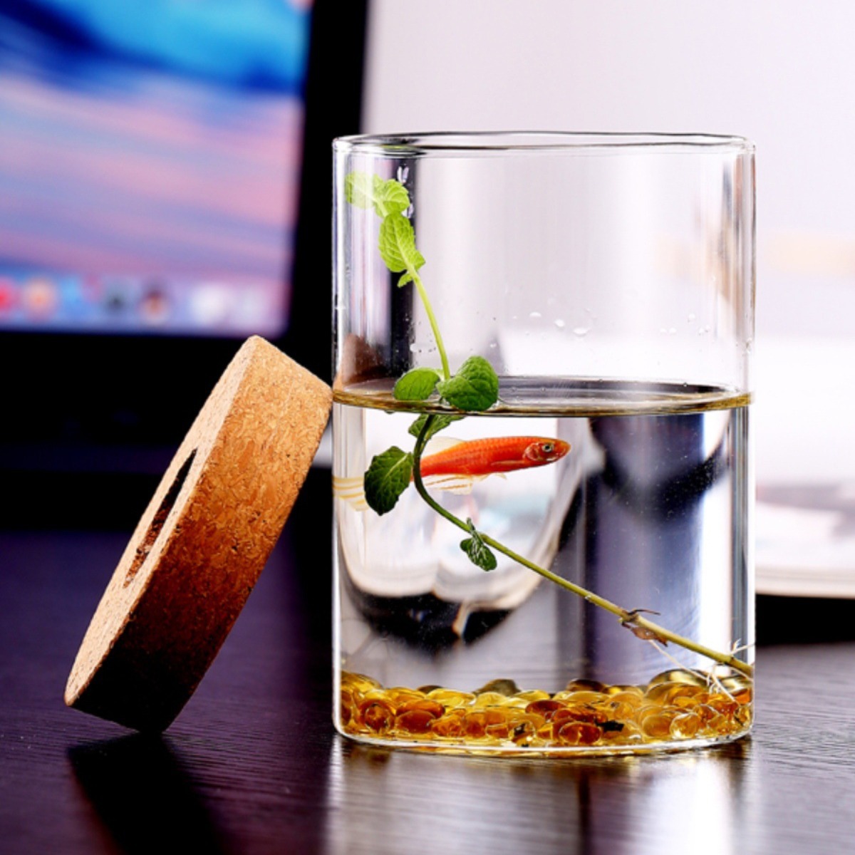 Micro-landscape seaweed ball ecological hydroponic green plant vase desktop high borosilicate glass mini ornaments viewing bottle