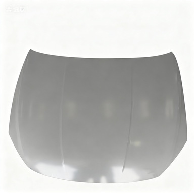 Suitable for Byd Qin Plus Hood Had-8402010/70