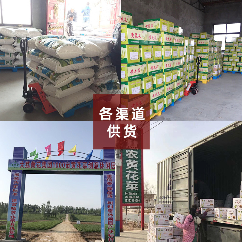 Daylily, This Year's New Vegetable, Dried Daylily, Fresh Specialty, Soup, Hot Pot, Stir-Fry, Farmhouse Dishes, Dried Goods Wholesale