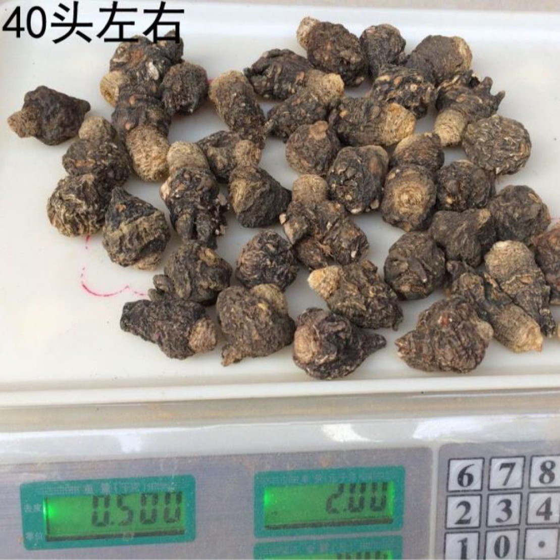 Chinese Herbal Medicine Black Maca Yunnan Lijiang Black Maca Dried Fruit Slices Soaked in Wine for Adults? Ka Can Help Maca Powder
