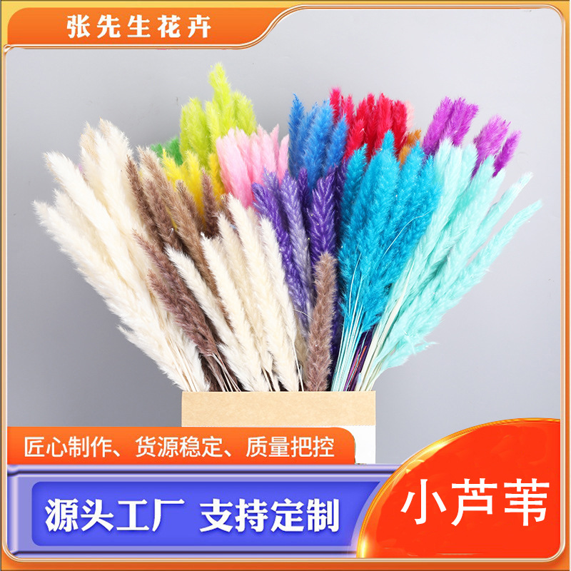 Разноцветные сухие цветы пампасной травы Маленькие вечные цветы пампасной травы Оптовый букет на Amazon